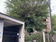 Stanza presso Politecnico di Milano
