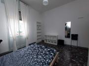 Stanza/Camera in affitto a Bologna