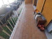 Stanza/Camera in affitto a Milano