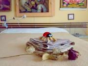 Stanza/Camera in affitto a Milano