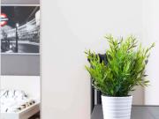 Stanza/Camera in affitto a Milano