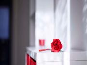 Stanza/Camera in affitto a Milano