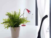 Stanza/Camera in affitto a Milano