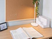 Stanza/Camera in affitto a Milano