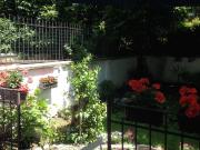 Stanza/Camera in affitto a Milano