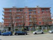 Stanza in appartamento in affitto a Moncalieri