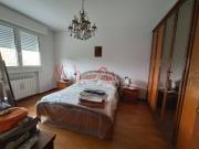 Stanza/Camera in affitto a Padova