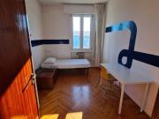 Stanza/Camera in affitto a Padova