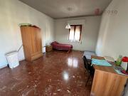 Stanza/Camera in affitto a Palermo