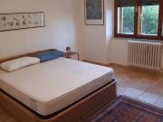 Stanza/Camera in affitto a Siena Stanza/Camera in affitto a Siena