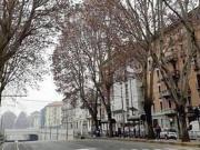 Stanza/Camera in affitto a Torino