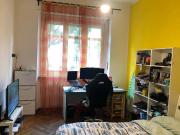 Stanza/Camera in affitto a Torino