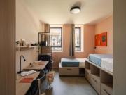 Stanza/Camera in affitto a Torino