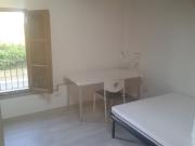Stanza/Posto Letto in affitto a Scandicci in...