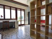Stanze in affitto di m²