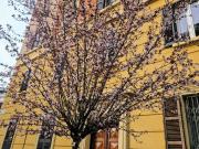 Stanze in affitto di m² in Via della Ghisiliera