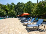 Staples Mill Townhomes The Woodhaven