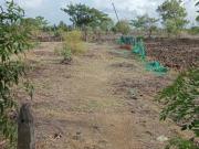 Stargaze Plots In JNPT,Juna Sheva Residential Plot For...