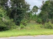 Starry St, Orlando, Farm House For