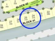 Steal Deal! Lot in Alabang West Daang Hari Las Pinas...