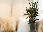 Steel Bank, Dun Works, 2 Bedroom Ground