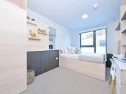 Steel City Townhouse Standard