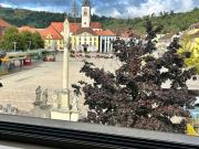 Steiermark 8600 95511095