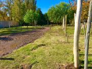Stellafern propiedades vende hermoso terreno en rivadavia