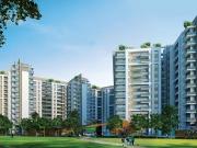 Sterling Infinia,Koramangala 4 BHK Apartment For Sale...