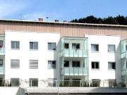 Steyr Winternitz IV Whg. Nr. I/E/2 + TG 22