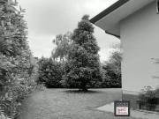 Stiava 10 vani 300mq