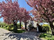 Stil Villa an Grenze Eggenberg Wetzelsdorf in ruhiger...