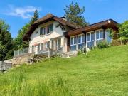 Stilvolle 7 Zimmer Villa mit Seesicht in Biel kaufen