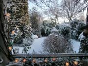 Stilvolle Altbauwohnung mit Gartenparadies seltene...