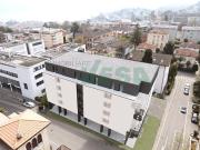 Stilvolle, neue, helle 3.5 Zimmer Wohnung