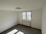 Stilvolle und moderne 1 Zimmer Wohnung mit EBK in...