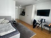 Stilvolles 1 Zimmer Microapartmmit gehobener...