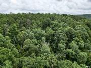 Stoneface Rd, Harrisburg, IL 62947