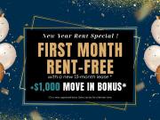 Stoney Creek Apartments for Rent 9 Riverdale Dr