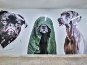 Story of Rideau & Chapel