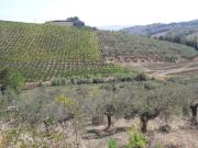 Strada comunale per Caprara 0mq