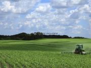 strada comunale prelato trilocale 75000mq