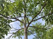 Strada Provinciale 14 5 40000mq