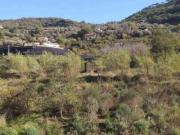 Strada Provinciale 59 snc monolocale 4933mq