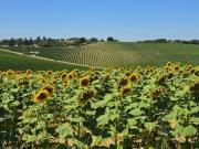 Strada provinciale 92 snc 10 vani 400mq