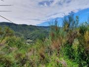 Strada Provinciale Crocetta/Caso trilocale 90mq