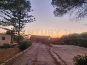 Strada Scaro SN 7 vani 150mq