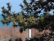 Strada Statale 16 Adriatica 89 1940mq