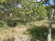 Strada Statale 287 trilocale 13000mq