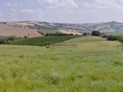 strada vencareto trilocale 180000mq